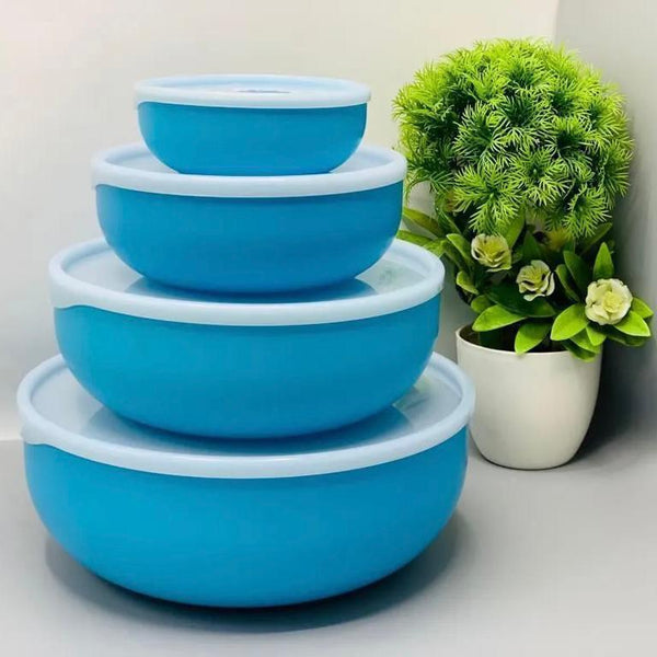 Vibrant 4 PCs bowl set- Red, Blue, Green, perfect for Every occasion